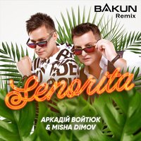 Аркадій Войтюк та Misha Dimov - Senorita (Bakun Remix)