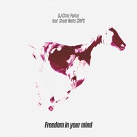 DJ Chris Parker feat. Street Watts Crips - Freedom in Your Mind