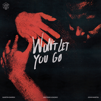 Martin Garrix & Matisse & Sadko feat. John Martin - Won’t Let You Go