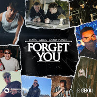 LUM!X feat. Alida & Gabry Ponte - Forget You
