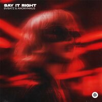 BVBATZ feat. Anonymau5 - Say It Right