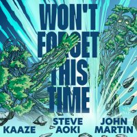Steve Aoki feat. Kaaze & John Martin - Won't Forget This Time