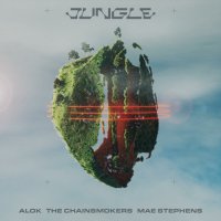 Alok & The Chainsmokers & Mae Stephens - Jungle