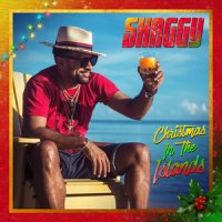 Shaggy feat. Bunji Garlin - Nothing Like The Holidays