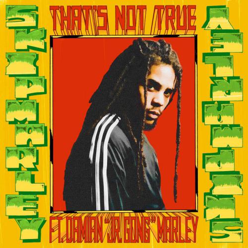 Skip Marley feat. Damian Marley - That's Not True