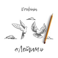 Drobinin - Летим