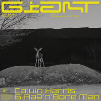 Calvin Harris feat Rag'n'Bone Man - Giant