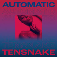 Tensnake - Automatic