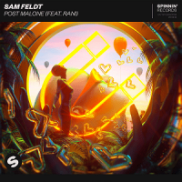 Sam Feldt - Post Malone (feat RANI)
