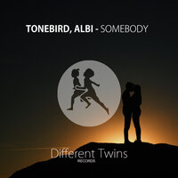 Tonebird & Albi - Somebody