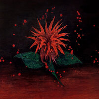 Коста Лакоста feat. Iraida - Не шукай