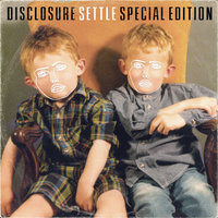 Disclosure feat. Eliza Doolittle - You & Me (Flume Remix)
