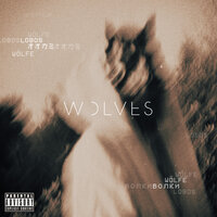 MISSIO - Wolves