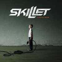 Skillet - Falling Inside the Black