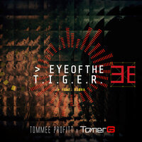 Tommee Profitt feat. FJØRA - Eye Of The Tiger (TOMER G & MARKO Extended Dance Mix)
