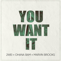 2WEI feat. Ohana Bam & Marvin Brooks - You Want It