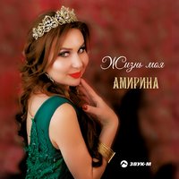 Амирина feat. Шамиль Кашешов - Ревность Remix