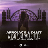 Afrojack & Dlmt & Brandyn Burnette - Wish You Were Here