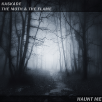 Kaskade & The Moth & The Flame - Haunt Me
