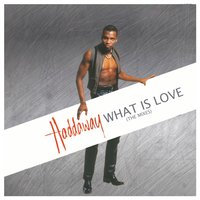 Haddaway - What Is Love (Rapino-Brothers-Mix)