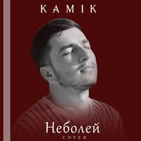 Kamik - Неболей (cover)
