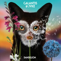 Jvke feat. Galantis - Dandelion