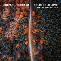 Sultan & Shepard feat. Richard Walters - Solid Gold Love