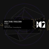 Hector Toledo - Indigo