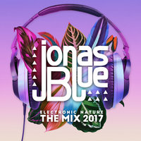 Jonas Blue & EDX feat. Alex Mills - Don't Call It Love