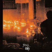 Saluki feat. Tveth - Улицы, Дома