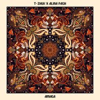 t-Zhuk feat. Alina Pash - Amaga