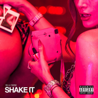 Bella Thorne - Shake It