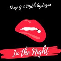 Melih Aydogan feat. Drop G - In the Night