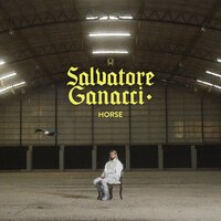 Salvatore Ganacci - Horse