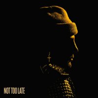 Karl Wolf - Not Too Late