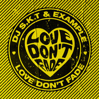 DJ S.K.T feat. Example - Love Don't Fade