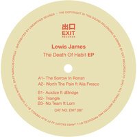 Lewis James feat. Lorn - No Team
