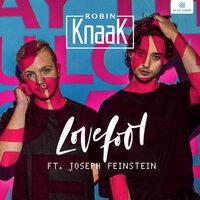 Robin Knaak feat. Joseph Feinstein - Lovefool
