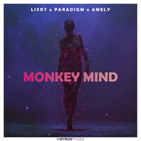 LIZOT feat. Paradigm & Amely - Monkey Mind