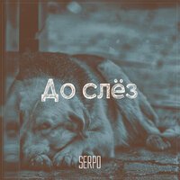 SERPO - До слёз