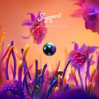 Sheppard - Midsommar