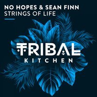 No Hopes feat. Sean Finn - Strings of Life