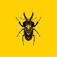 Golden Features - Always