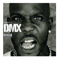 DMX - Party Up