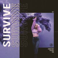 Spinner Sunny feat. VERB & Stella Key - Survive