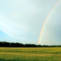 Игорь Дзреев - Радуга-дуга