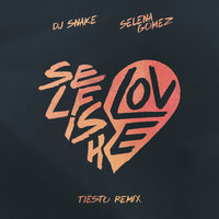 Dj Snake & Selena Gomez - Selfish Love (Tiësto Remix)