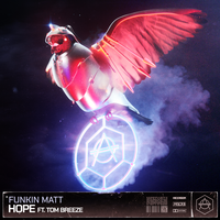 Funkin Matt feat. Tom Breeze - Hope