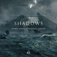 Seven Lions feat. Wooli & AMIDY - Shadows