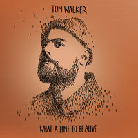 Tom Walker - Fly Away With Me